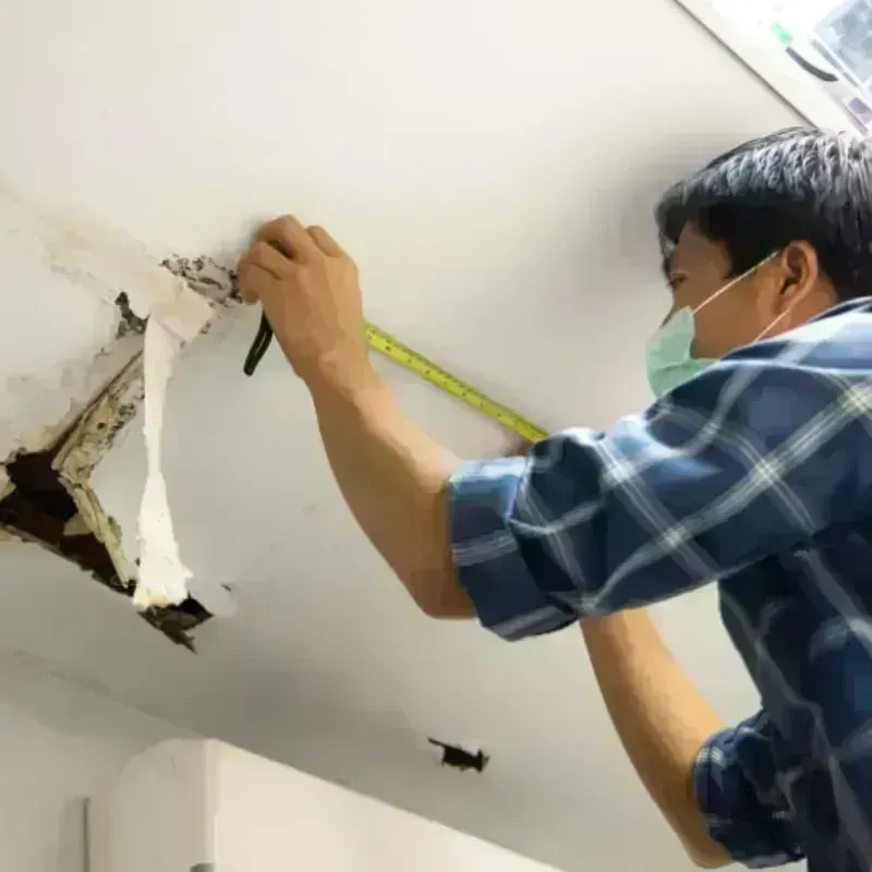 Ceiling And Wall Water Damage in Carbon County, MT