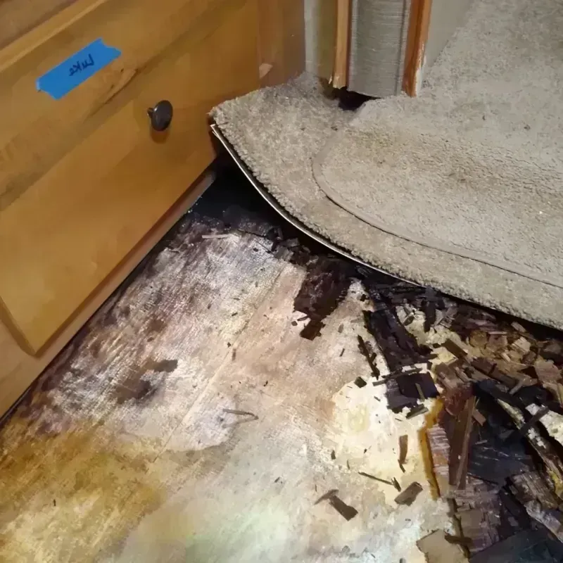 Wood Floor Water Damage in Carbon County, MT